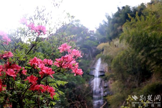 黃龍山頂，風(fēng)景如畫 黃錚 攝_副本.jpg.jpg